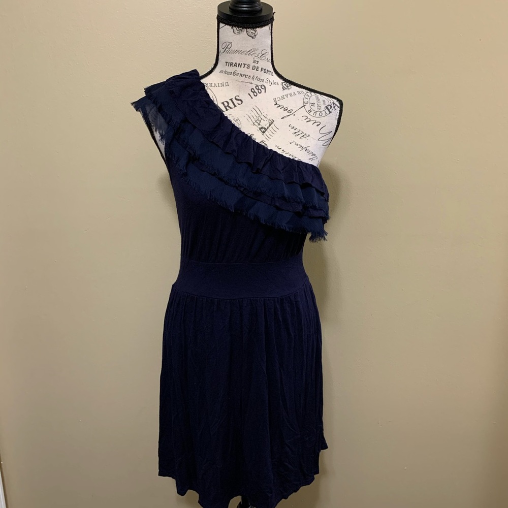 Pink Rose Blue Ruffle One Shoulder Small Dress